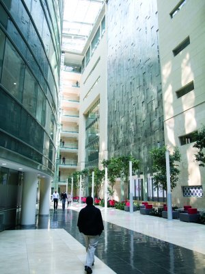 The 5-Star Absa Tower West in Johannesburg features one of the largest grey water plants to be installed in any office building in South Africa in 2012. The design and construction ethos incorporated the extensive use of recycled steel. 